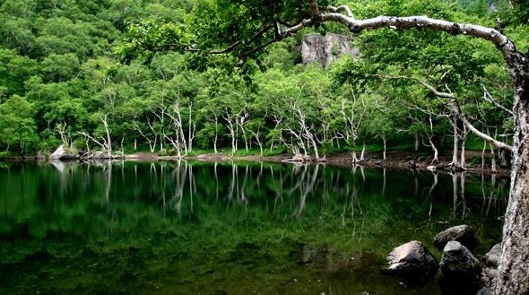 長白山西坡、十五道溝-望天鵝風景區(qū)雙飛4日