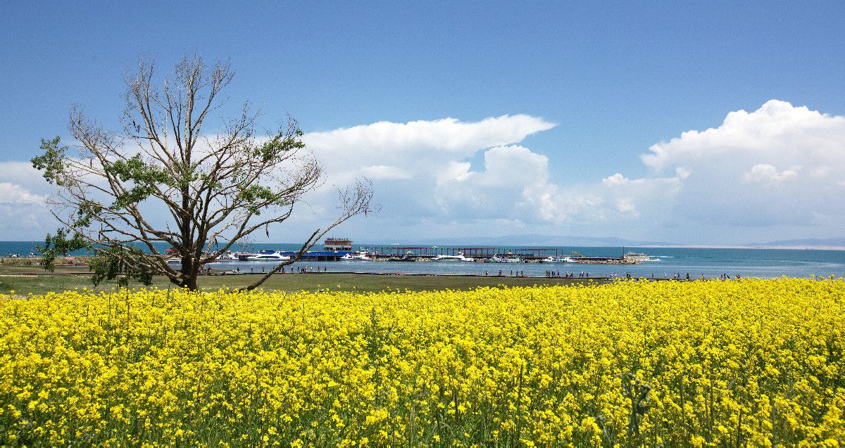 青海 寧夏雙飛5（北京成團(tuán)，包機(jī)）