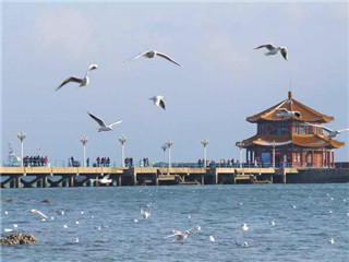 <strong><font color='#0000FF'>日照A線：青島、棧橋、日照、劉家灣趕海、竹洞</font></strong>