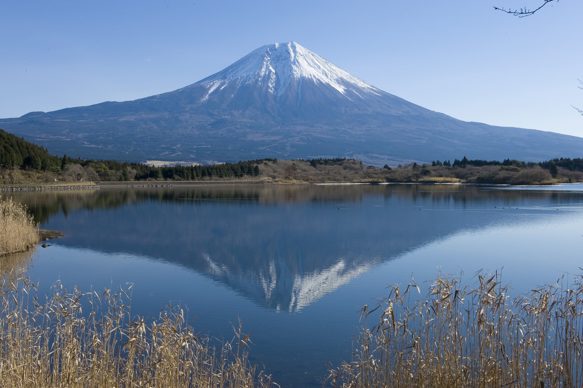 東京、箱根、京都、大阪6日**三大樂園の3~4星酒
