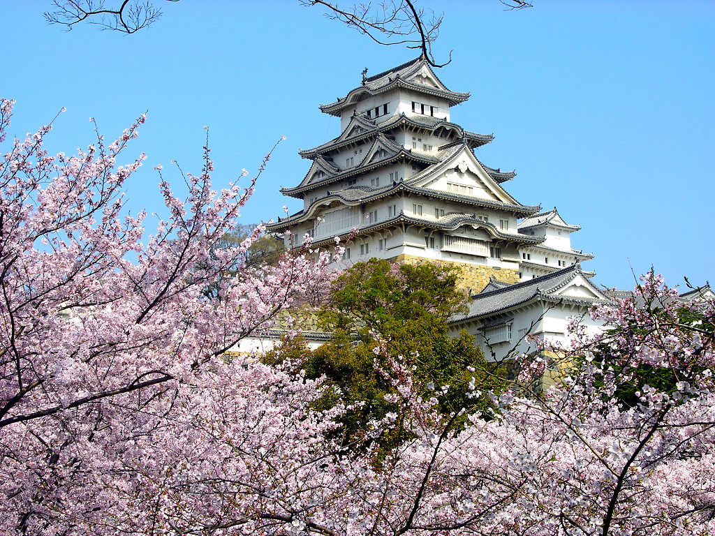 東京、箱根、大阪、京都、奈良6日~~大阪進東京