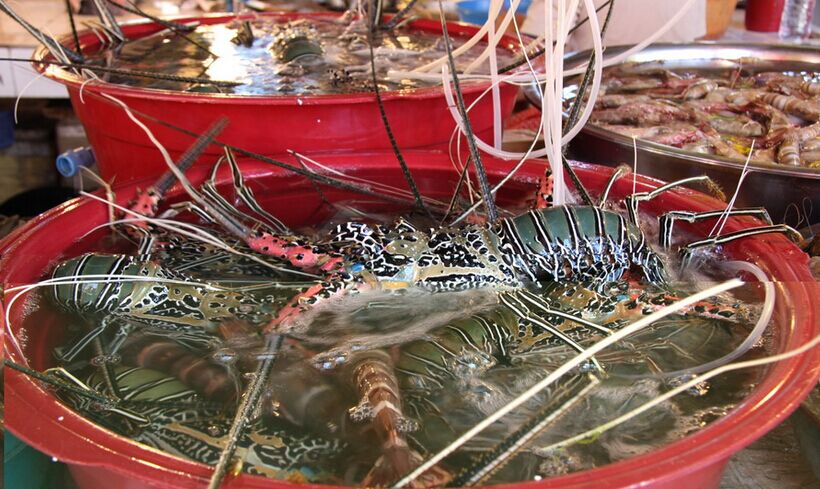 長灘島半自由行4晚6日<含領(lǐng)隊(duì)>風(fēng)帆出?？慈?/></a>
                  </div>
                  <p class=