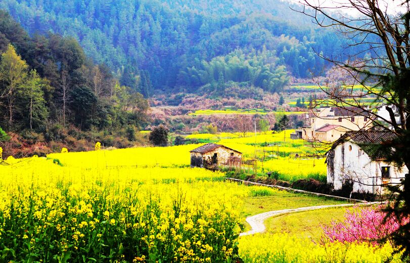 廬山主景區(qū)、婺源、江嶺梯田、三清山、景德鎮(zhèn)