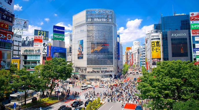 東京、箱根、伊豆半島、東京1天自由行6日