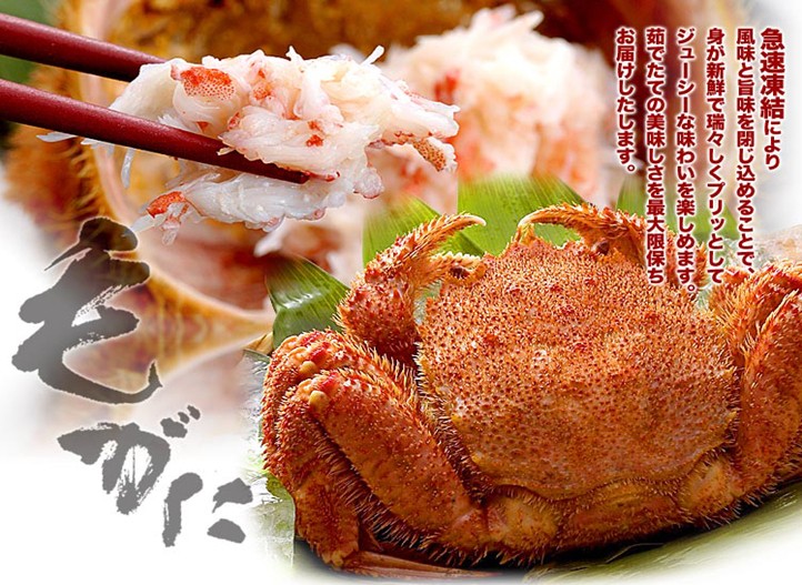 東京、箱根、大阪、京都、伊勢7日**4星美食純玩