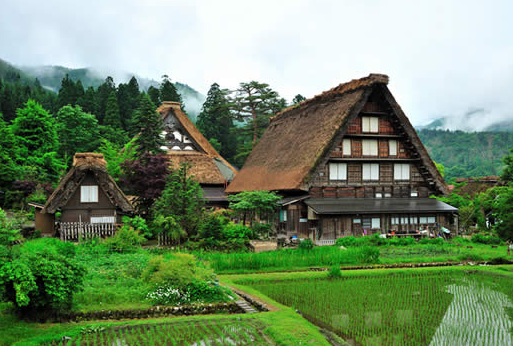 東京、箱根、大阪、京都、奈良、白川鄉(xiāng)、神戶